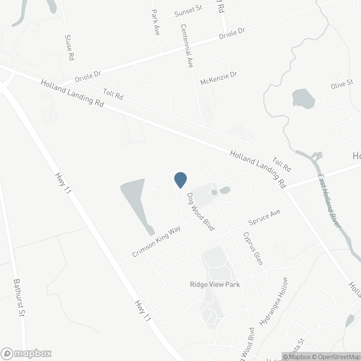 206 DOG WOOD BOULEVARD, East Gwillimbury, Ontario L9N 0X1